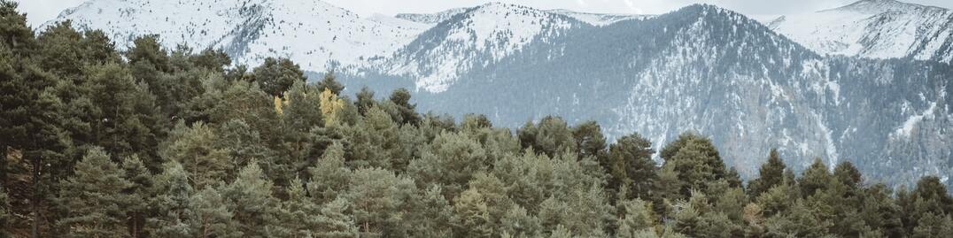 Mountains - LinkedIn Background - Get some inspiration!