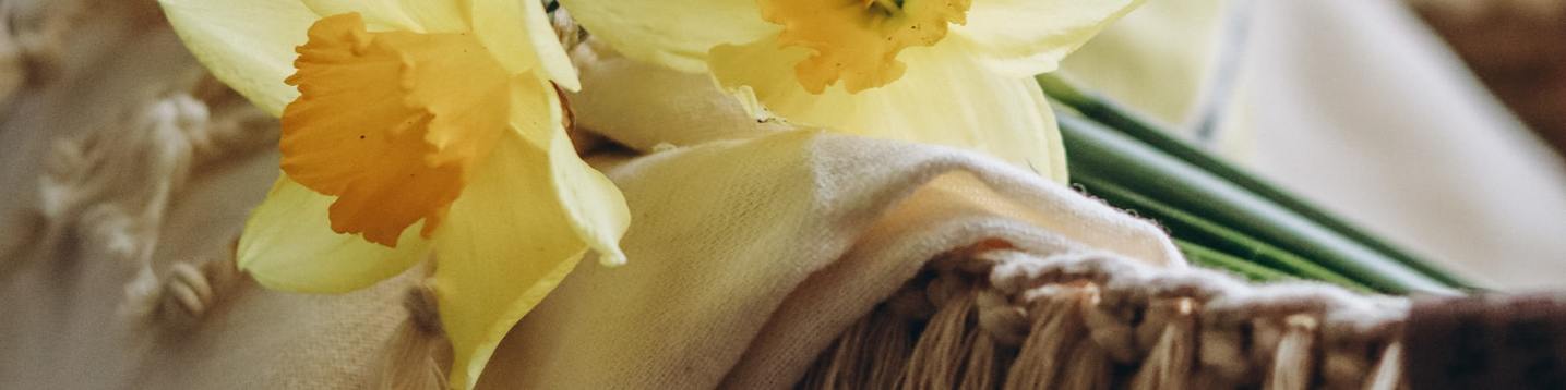 Yellow Flower - LinkedIn Background - Get some inspiration!