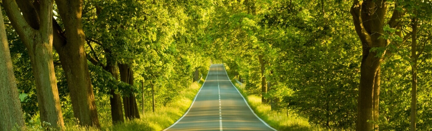 Road To Nature - LinkedIn Background - Get some inspiration!
